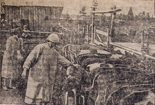 1941_08_15_192_3_Фото подсобного хозяйства завода имени Дзержинского.png
