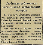 Любители-собаководы воспитывают чистокровных овчарок