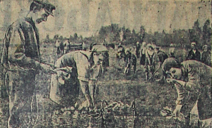 1943_06_09_120_2_Фото передовиков совхоза № 4 ОРСа завода им. Куйбышева_фото.png
