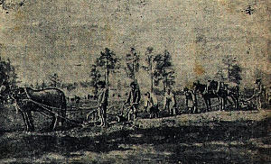 1943_06_02_115_1_Фото работников совхоза Евстюниха_фото.png