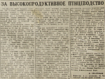 За высокопродуктивное птицеводство