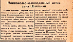 Комсомольско-молодежный актив села Шайтанки