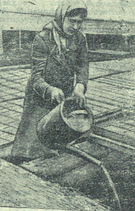 1943_06_30_135_1_Фото Марии Ивановны Кузнецовой - работницы подсобного хозяйства Уралмашстроя_фото.png
